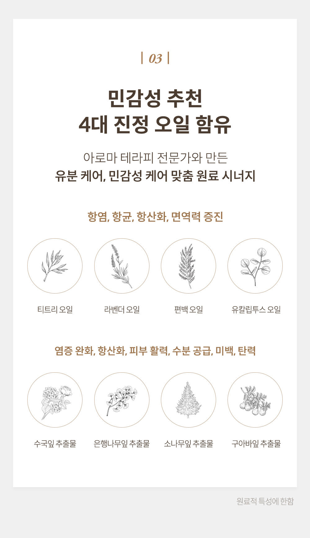 아로마 테라피 전문가와 만든 진정 오일